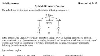 Syllable Structure in English [upl. by Suivart980]