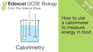 7 Edexcel GCSE Biology  Calorimetry [upl. by Ennairam]