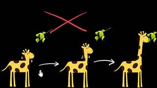 Acquired vs inherited traits  Heredity amp Evolution  Biology  Khan Academy [upl. by Elspeth428]