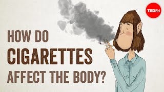 How do cigarettes affect the body  Krishna Sudhir [upl. by Paulette]