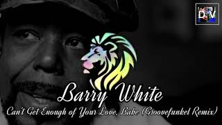 Barry White  Cant Get Enough of Your Love Babe Groovefunkel Remix [upl. by Naired276]