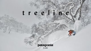 Treeline  The Secret Life of Trees  Patagonia Films [upl. by Goldfarb]