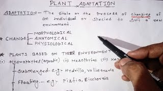 Plant AdaptationHydrophytesBriefly explained [upl. by Ynatsed]