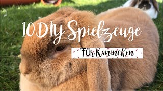 10 DIYSpielzeuge für Kaninchen  Two sweet bunnies [upl. by Hluchy21]