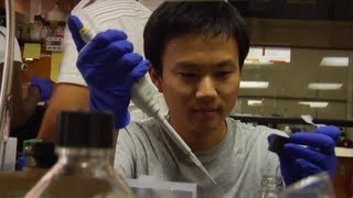 Undergraduate Research at Carnegie Mellon [upl. by Bronder]