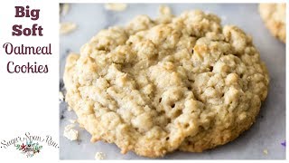 HOW TO MAKE OATMEAL COOKIES [upl. by Nhor]