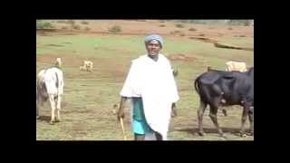 Best Gojjam Song of the Year 2011 solomon Demissie [upl. by Darahs74]