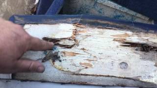 Refurbishing a Bayliner Capri Phase 1 [upl. by Concepcion]