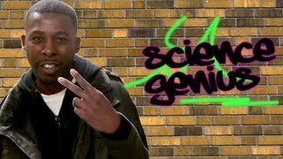 WuTangs GZA drops knowledge at Bronx Compass [upl. by Aicinad]