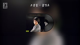 조용필  물망초 Lyric Video 가사 비디오 [upl. by Pope583]