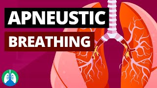 Apneustic Breathing Medical Definition Quick Explainer Video [upl. by Nylde250]