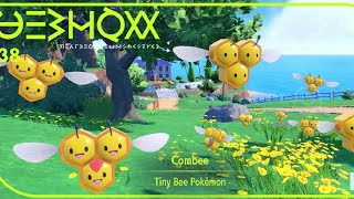 HOW TO GET Combee in Pokémon Scarlet and Violet [upl. by Caine]