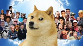 goodbye Doge Dog Kabosu [upl. by Elehcor]