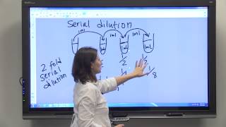 Dilution Series amp Serial Dilution [upl. by Skippy16]