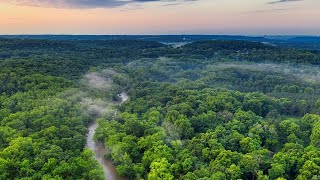 Amazon rainforest  Ecosystems [upl. by Girardo628]