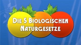 Die 5 Biologischen Naturgesetze  Die Dokumentation [upl. by Ardnasyl116]