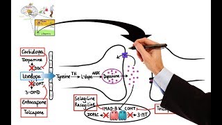 Pharmacology  DRUGS FOR PARKINSONS DISEASE MADE EASY [upl. by Llenrev]