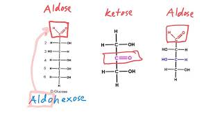 Aldose vs Ketose [upl. by Goldsmith]