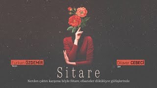 Sitare  Dilaver Cebeci [upl. by Aitnwahs]