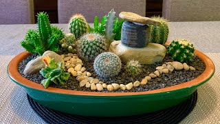 Cacti and Succulents Arrangement [upl. by Yendirb]