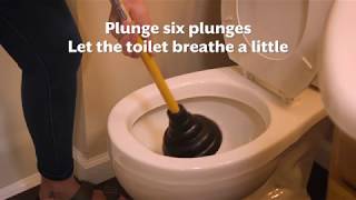 How To Fix A Clogged Toilet [upl. by Taryne]