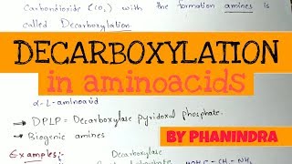 Decarboxylation of Aminoacids  Aminoacids metabolism [upl. by Felicidad180]