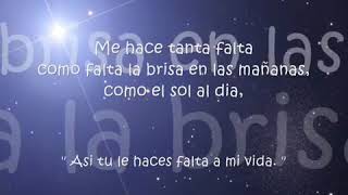 Cielo de Estrellas  El Trono De Mexico  Lyrics [upl. by Naid34]