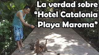 Hotel Catalonia Playa Maroma ⭐ GUIA COMPLETA  Hoteles Riviera Maya [upl. by Eineg]