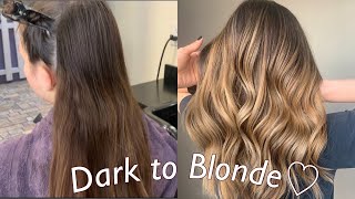 Hand Painted Balayage Ombre Technique  Dark to Blonde Tutorial [upl. by Aia672]