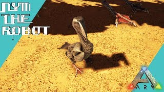 Ichthyornis Taming and Breeding Ark Survival Evolved [upl. by Padegs]