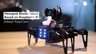 Hexapod bionic robot based on Raspberry Pi [upl. by Geis]