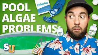 How to Stop ALGAE in Your POOL From Returning  Swim University [upl. by Soll715]