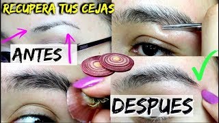 COMO ENGROSAR LAS CEJAS DE MANERA NATURAL 100 EFICAZ [upl. by Raouf]