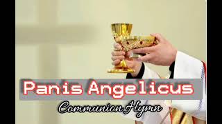 Panis Angelicus with Latin amp English Lyrics [upl. by Rowney]