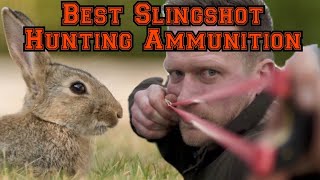 Catapult  Slingshot Ammo Choice for Hunting [upl. by Frentz]