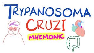 Trypanosoma Cruzi Mnemonic  Chagas Disease [upl. by Sul]