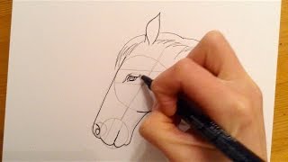 Beginners Lesson  How To Draw A Horse [upl. by Atinod]