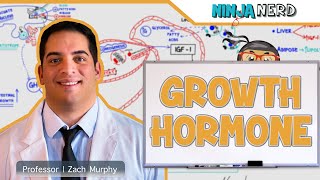 Endocrinology  Growth Hormone [upl. by Manly]