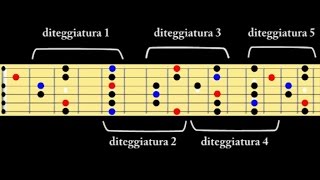 Scala pentatonica Le diteggiature sulla chitarra spiegazione [upl. by Tortosa]