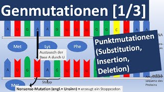 Genmutationen 13 Punktmutationen Insertion Substitution Deletion  Genetik Oberstufe [upl. by Ainoval668]