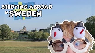 Study Abroad in Sweden  Things You Should Know Before Your Exchange [upl. by Monreal]