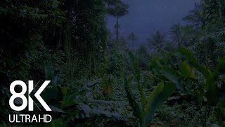 Jungle Nightlife Sounds 8K  10HRS of Cicadas Singing amp other Sounds of Night Creatures  Part 1 [upl. by Einon296]