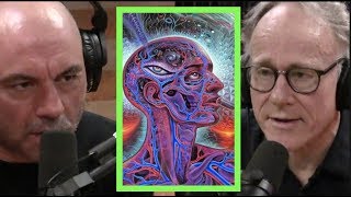 Joe Rogan  Ayahuasca is Amazonian Science wGraham Hancock [upl. by Yddub]