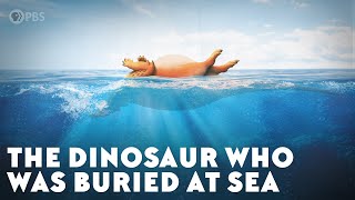 The Dinosaur Who Was Buried at Sea [upl. by Emoraj]