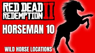 RDR2  Horseman 10  Wild horse locations [upl. by Margaux]