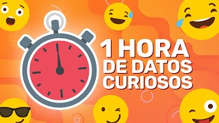 1 HORA SIN PAUSAS DE DATOS CURIOSOS XpressTV [upl. by Ellerahc209]