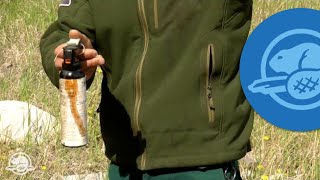 How to Use Bear Spray  Banff National Park [upl. by Bolme]