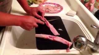 How to gut and fillet dogfish sharks [upl. by Anaiq]