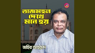 Tajmohol Dekhe Mone Hoy [upl. by Ahsekat]