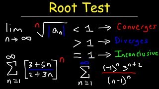 Root Test [upl. by Esenwahs759]